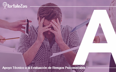 Apoyo Técnico a la Evaluación de Riesgos Psicosociales